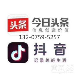 天津地區(qū)頭條與抖音廣告服務(wù)對(duì)接指南 高效觸達(dá)與專業(yè)開(kāi)發(fā)支持